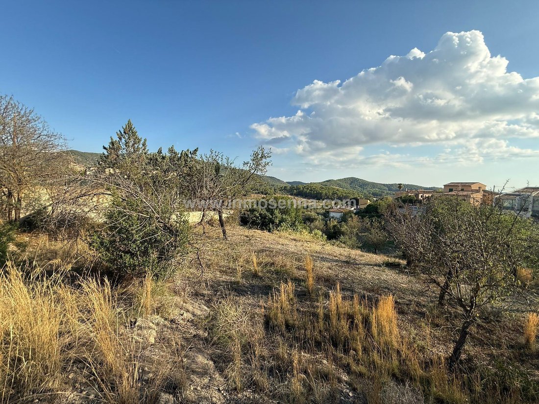 Land in Calvia, Balearic Islands, Spain 2 - 16322735