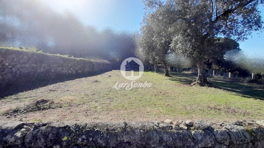 Farm Ranch in Touguinha e Touguinho, Porto District, Portugal 5 - 14879573