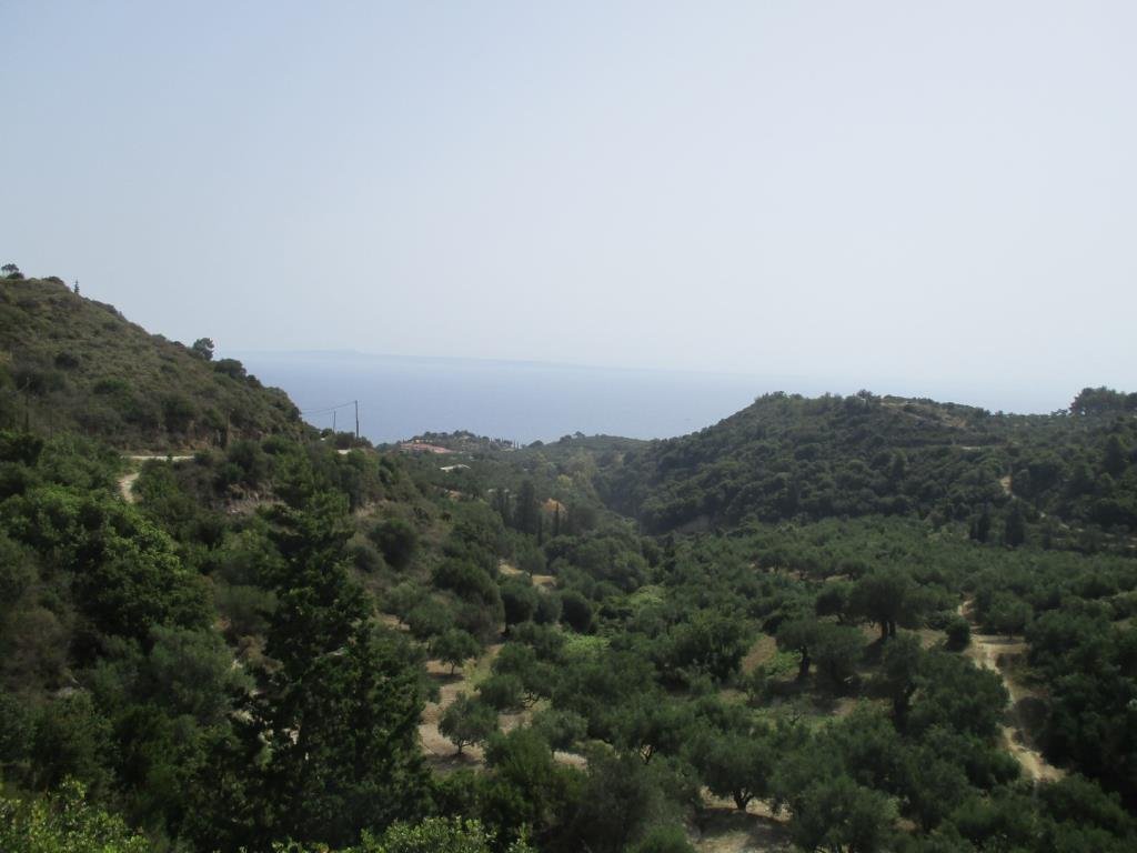 Land in Basilikou, Peloponnese, Western Greece and the Ionian, Greece 2 - 16325943