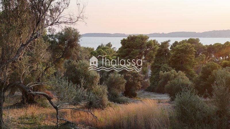 Land in Argostoli, Peloponnese, Western Greece and the Ionian, Greece 4 - 16324307