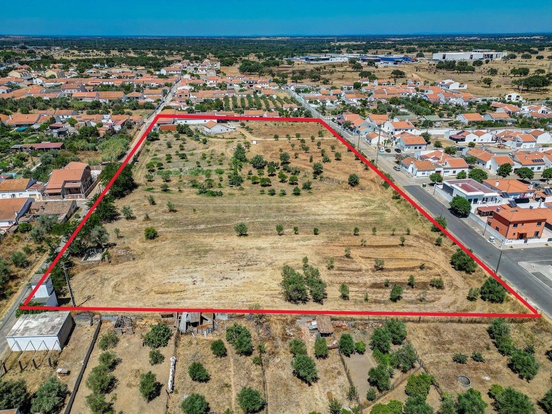 Farm Ranch in Ermidas do Sado, Setubal, Portugal 2 - 15978227