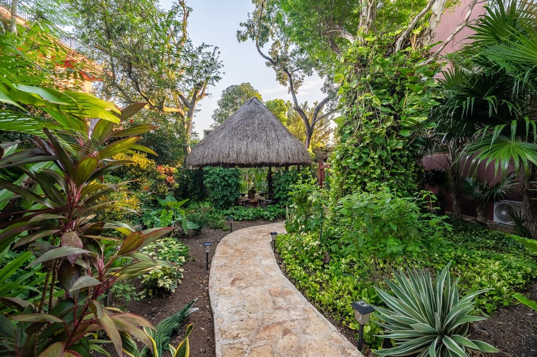 House in Playa del Carmen, Quintana Roo, Mexico 5 - 16325192