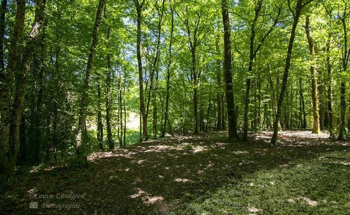 Castle for Sale in Lunas, Nouvelle-Aquitaine, France