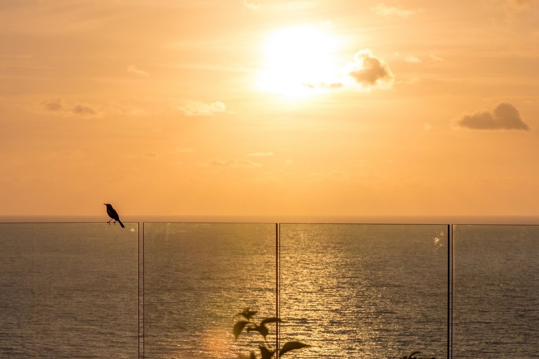 Villa in Koh Samui, Surat Thani, Thailand 5 - 16325183