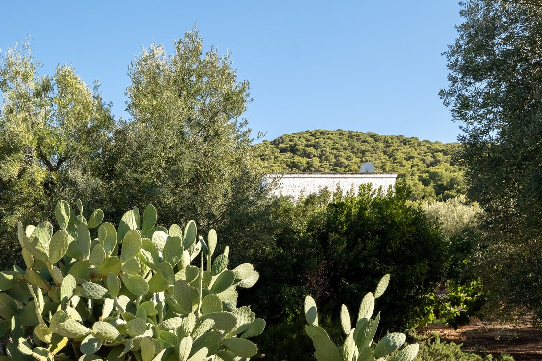 Estate in Pezze di Greco-Pozzo Faceto-Montalbano, Fasano, Apulia 5 - 16325130