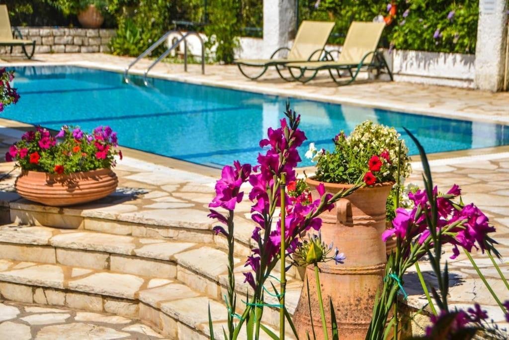 Villa a Kassopaia, Peloponnese, Western Greece and the Ionian, Grecia 3 - 16325109
