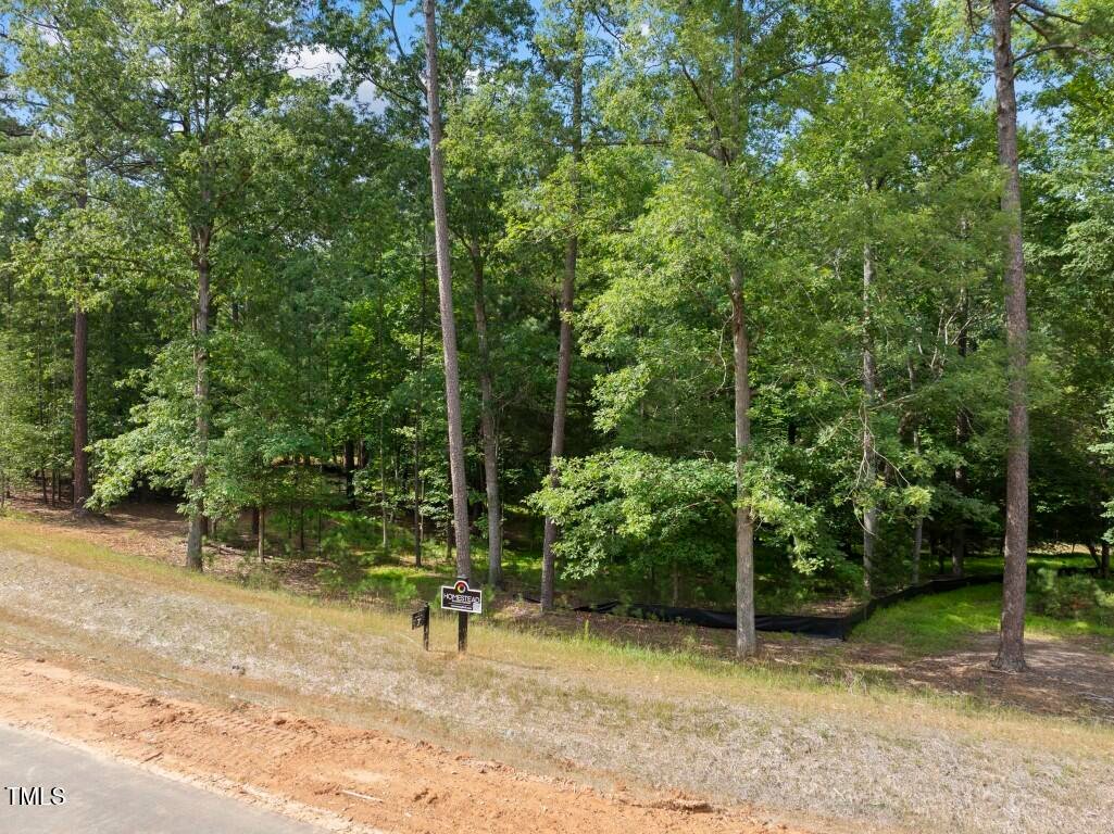 House in Raleigh, North Carolina, United States 3 - 16326350