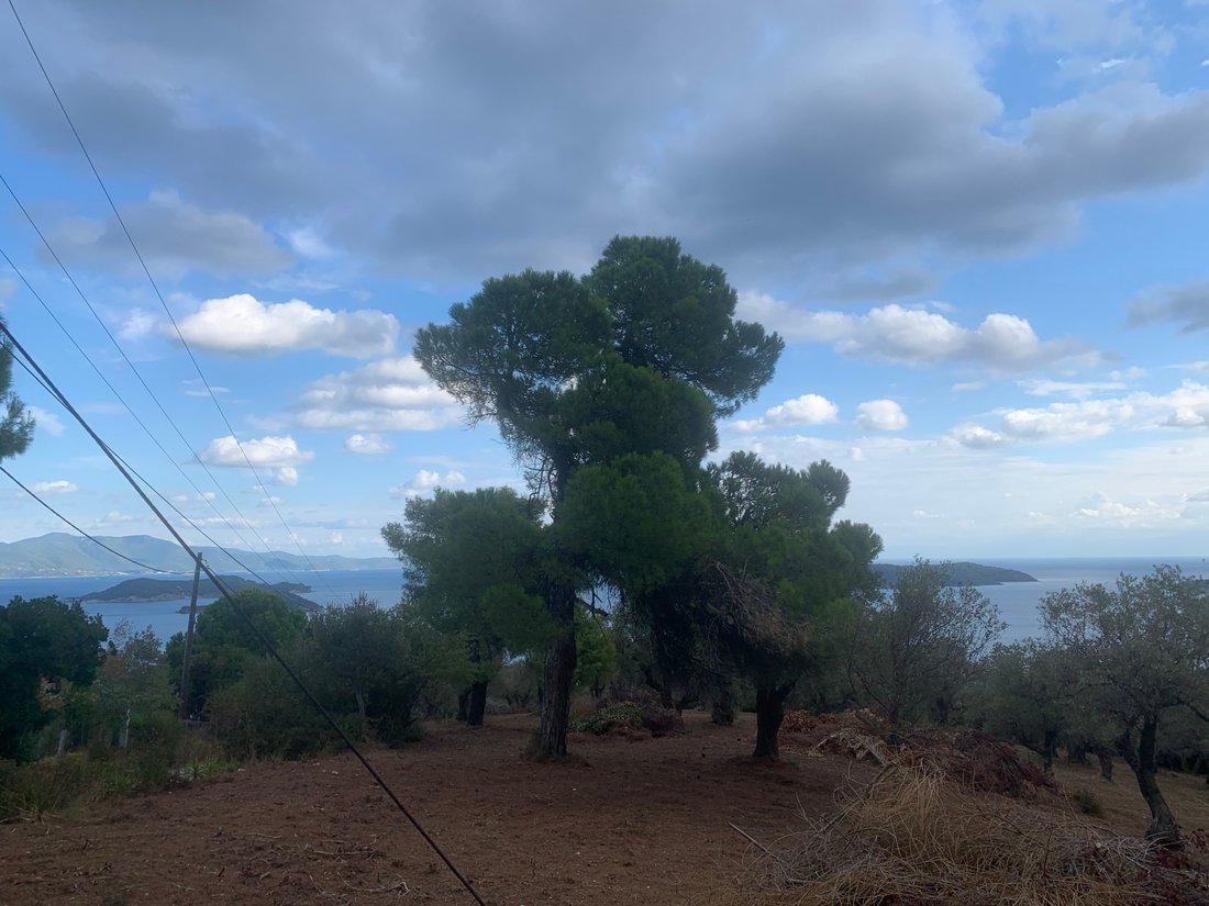 Land in Skiathos, Thessaly and Central Greece, Greece 5 - 16326513