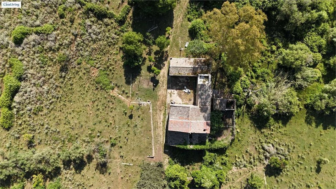 Estate in Monreale, Sicily, Italy 4 - 16329109