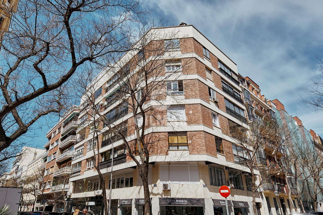 Apartment in Barrio Salamanca, Madrid, Spain 1 - 16329264