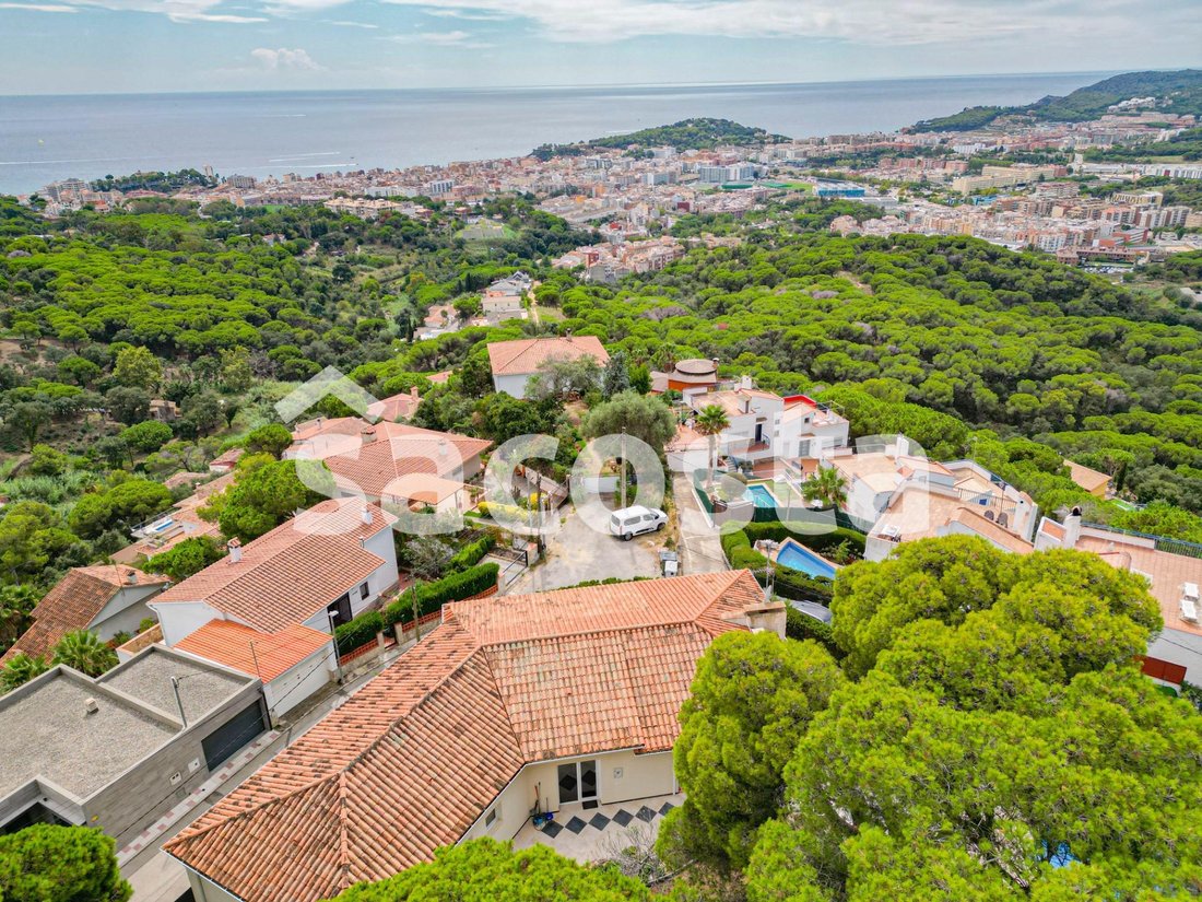 House in Lloret de Mar, Catalonia, Spain 4 - 16328991