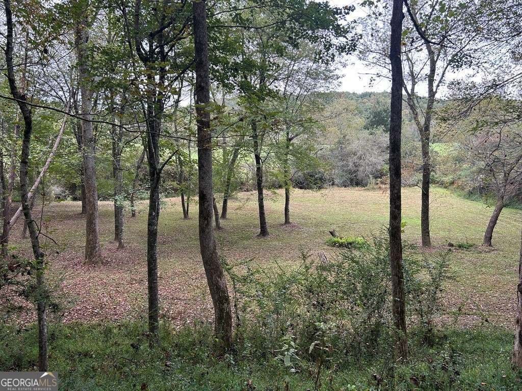 Blue Ridge, Georgia, United States 3 - 16328176