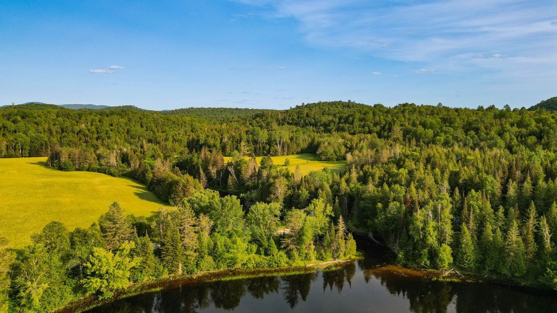 Land in Mulligan Ferry, Quebec, Canada 1 - 16329784