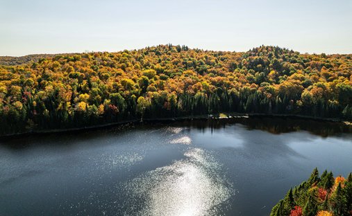 Land in Saint-Adolphe-d'Howard, Québec, Kanada 1