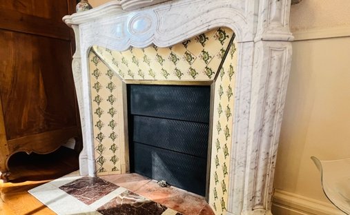 Vienne Department (86) 19th And 20th Century Chateau 345 Acres Of Land