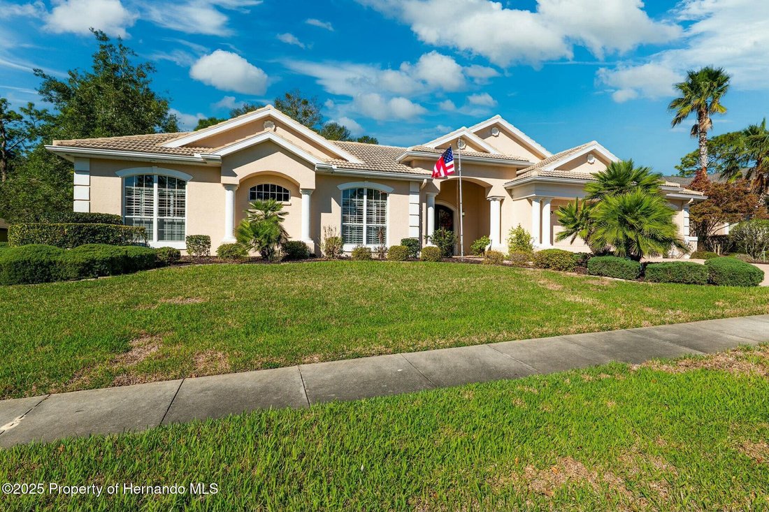 House in Spring Hill, Florida, United States 4 - 16328274