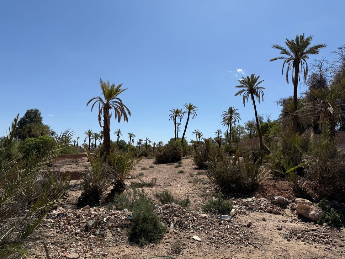Land in Lahebichate, Marrakesh-Safi, Morocco 3 - 16326890