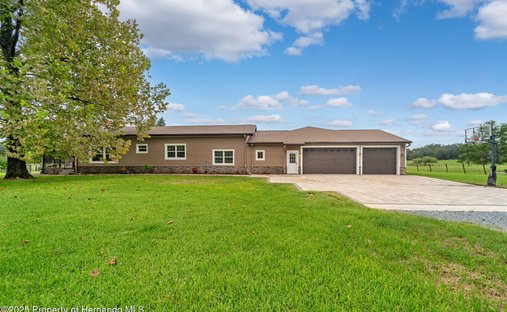 House in South Brooksville, Florida, United States 1