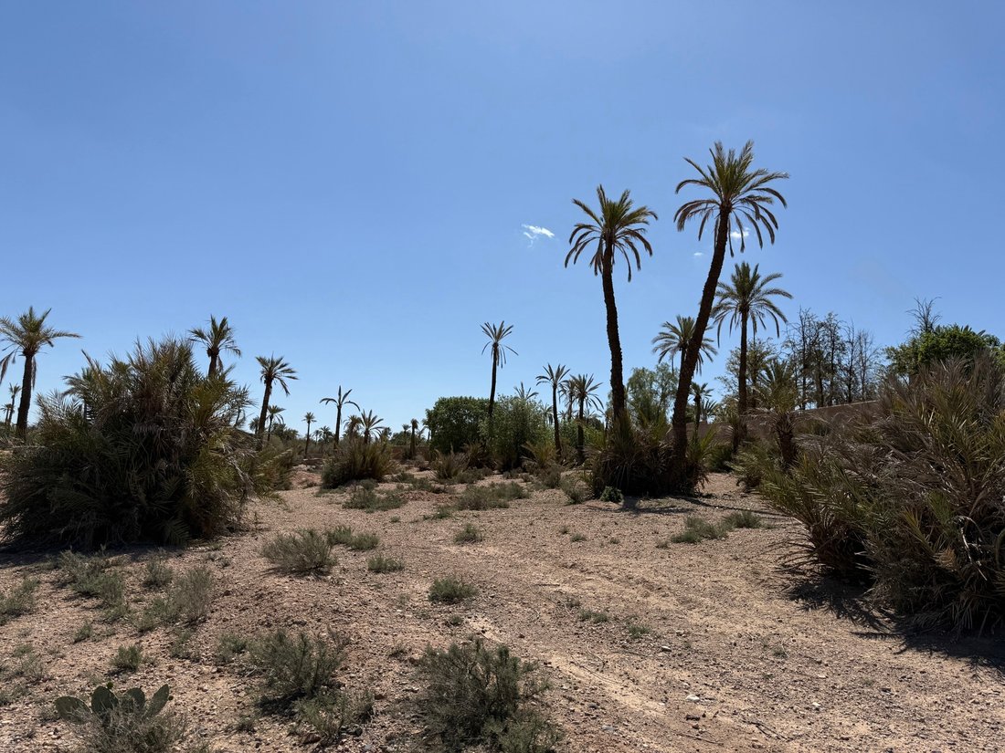Land in Lahebichate, Marrakesh-Safi, Morocco 4 - 16326890