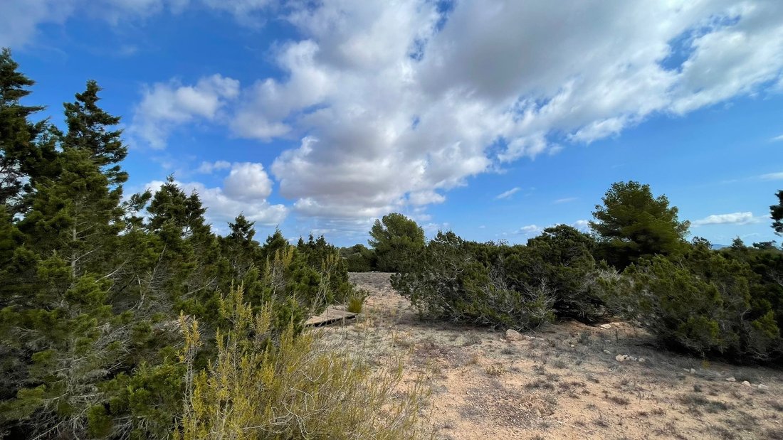 Land in Formentera, Balearic Islands, Spain 2 - 16327441