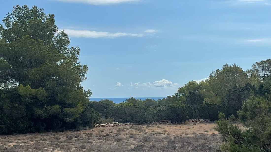Land in Formentera, Balearic Islands, Spain 1 - 16327441