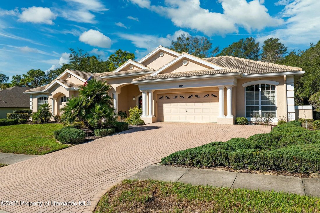 House in Spring Hill, Florida, United States 5 - 16328274