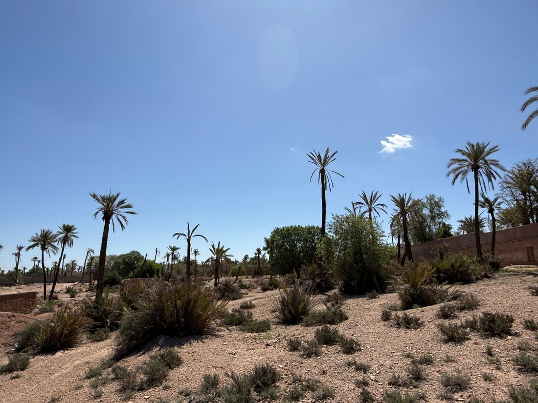 Land in Lahebichate, Marrakesh-Safi, Morocco 1 - 16326890