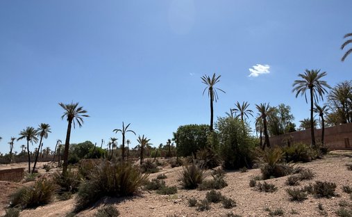 Terrain à Lahebichate, Marrakech-Safi, Maroc 1