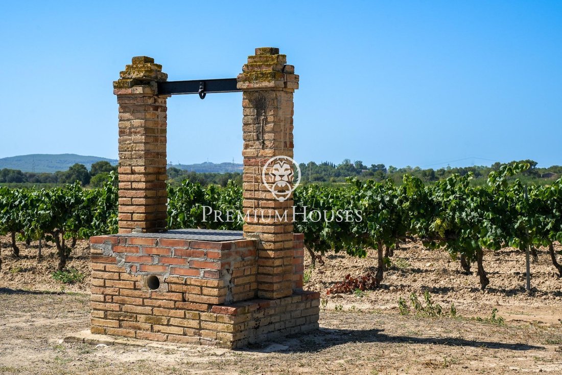 Country House in Castellet i la Gornal, Catalonia, Spain 5 - 16329404