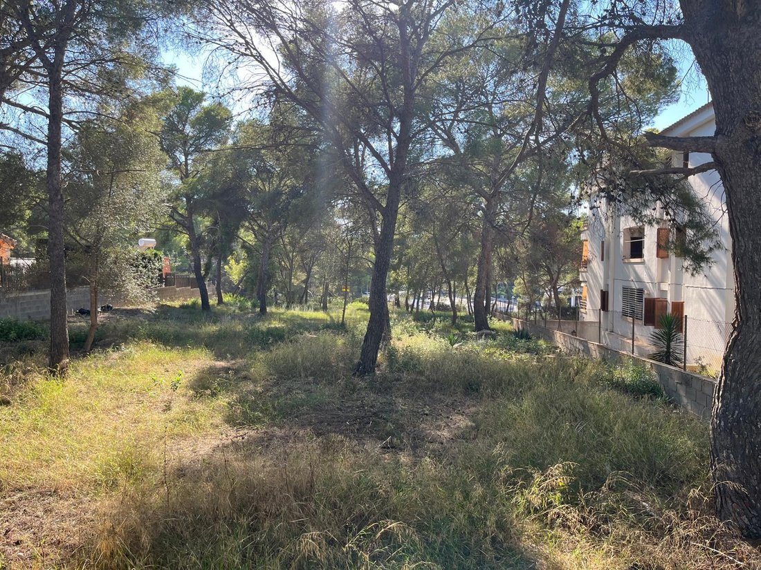 Land in Santa Ponsa, Balearische Inseln, Spanien 4 - 16329569