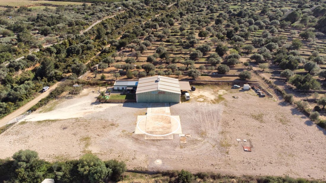 Villa in Amposta, Catalonia, Spain 2 - 15099721