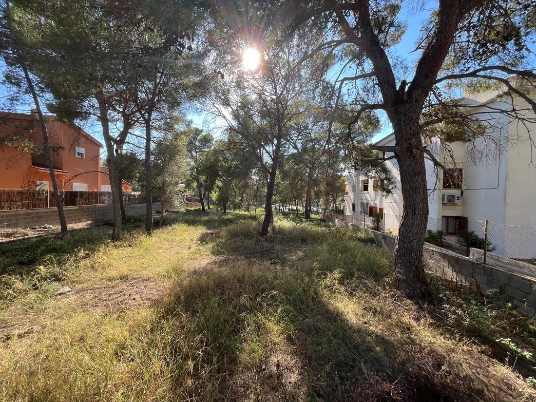 Land in Santa Ponsa, Balearische Inseln, Spanien 5 - 16329569