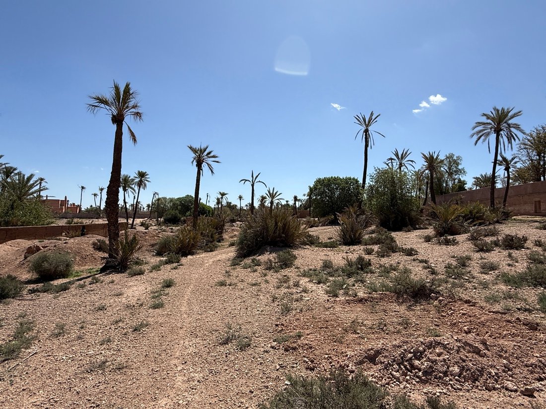 Land in Lahebichate, Marrakesh-Safi, Morocco 5 - 16326890