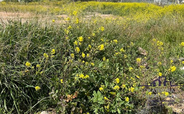 Land in 2nd District of Piraeus, Piraeus, Greece 2 - 13880950