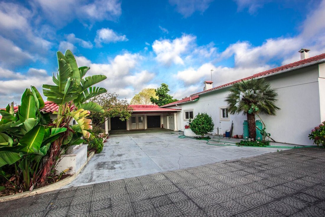 Farm Ranch in Marinha Grande, Leiria District, Portugal 1 - 15088875