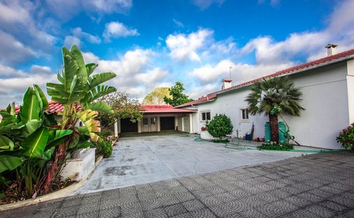 Farm Ranch in Marinha Grande, Leiria District, Portugal 1