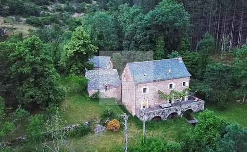 Castle for Sale in Florac-Trois-Rivières, Occitanie, France