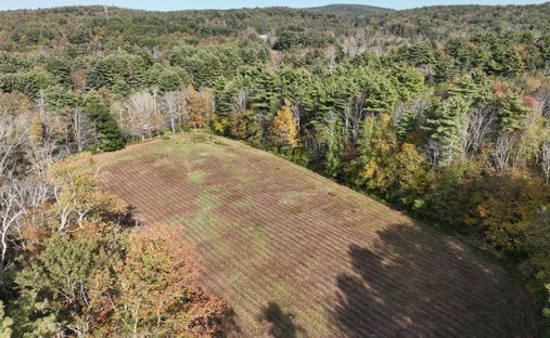 Land in Winchester, Connecticut, United States 1