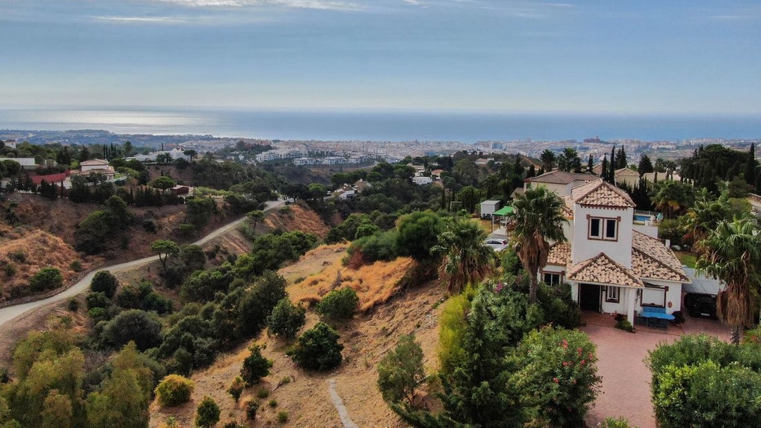 Finca in Estepona, Andalusia, Spain 4 - 16333229