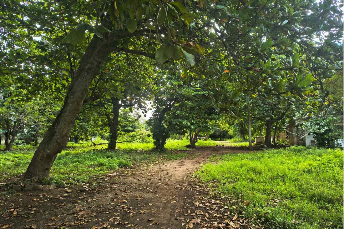 Land in Sosúa, Puerto Plata Province, Dominican Republic 2 - 16336774