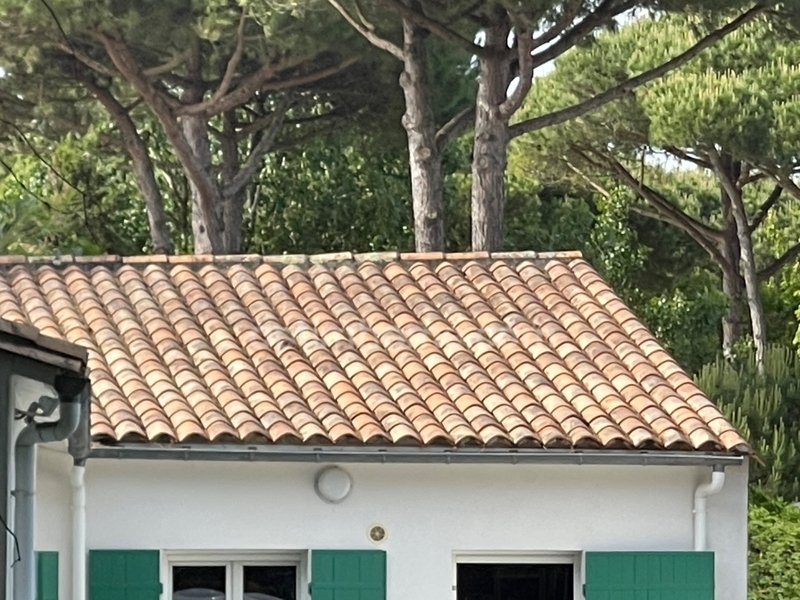 House in Le Bois-Plage-en-Ré, Nouvelle-Aquitaine, France 2 - 15772856