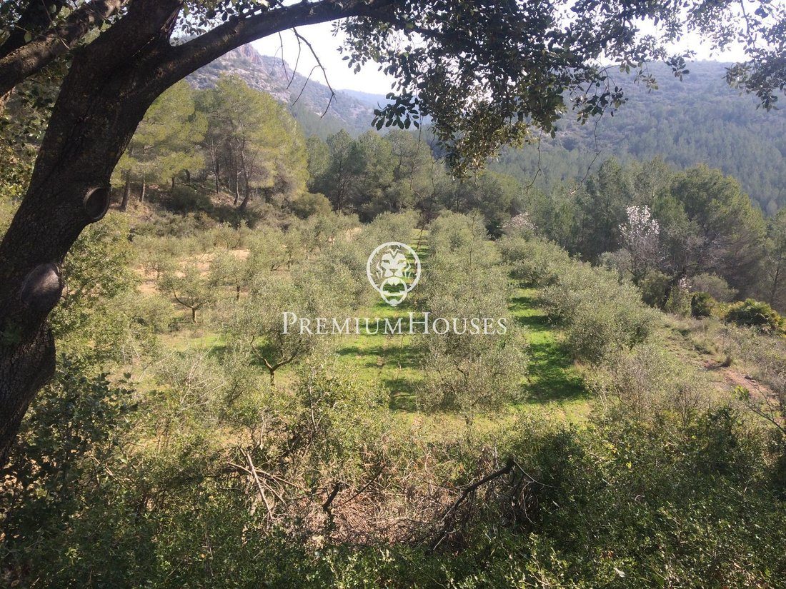 Country House in Castellet i la Gornal, Catalonia, Spain 3 - 16337016