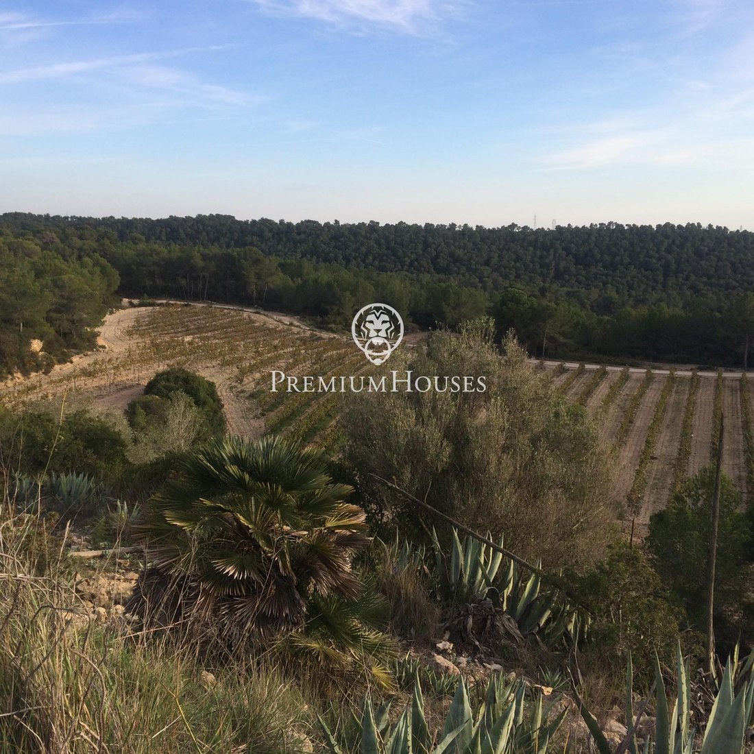 Country House in Castellet i la Gornal, Catalonia, Spain 5 - 16337016