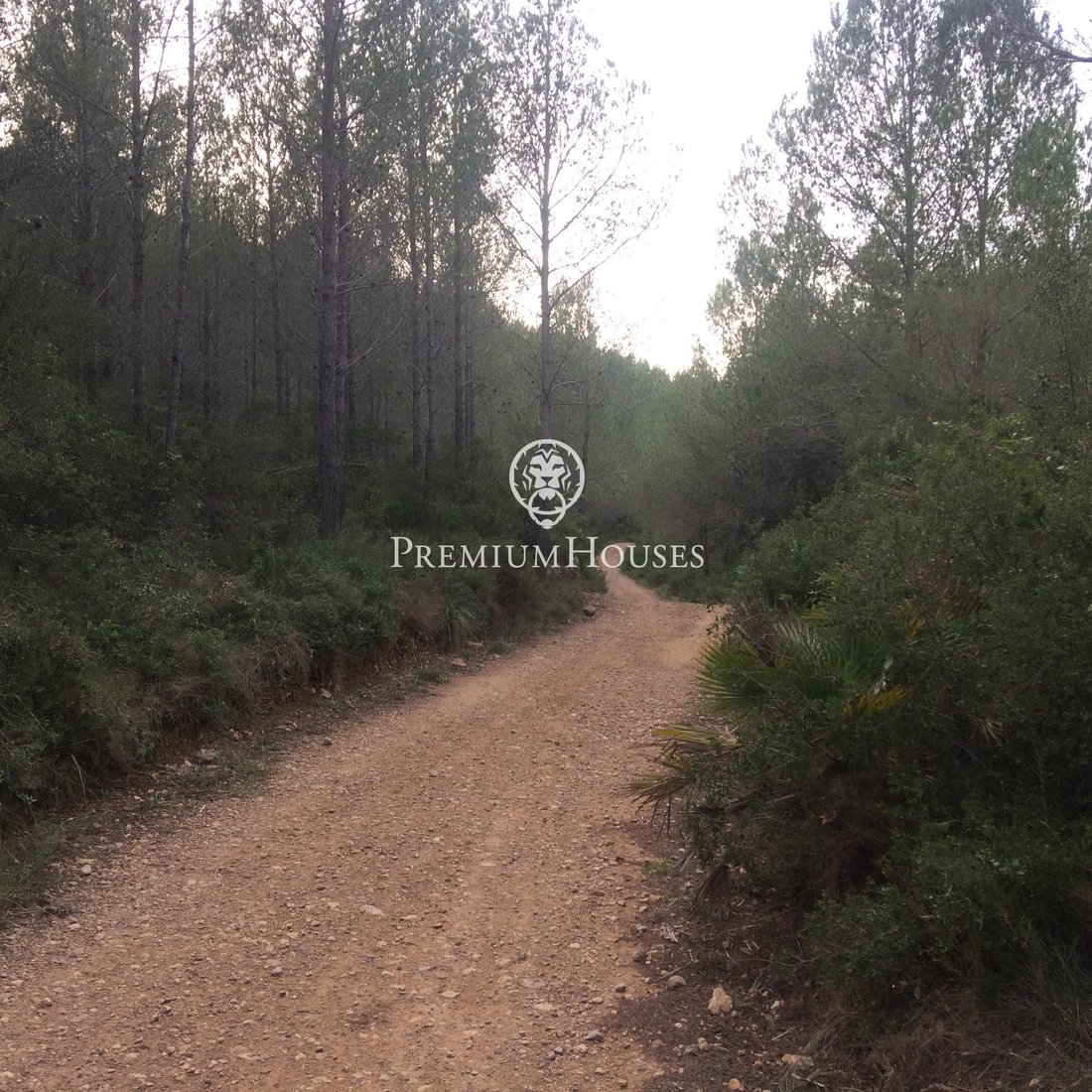 Country House in Castellet i la Gornal, Catalonia, Spain 4 - 16337016