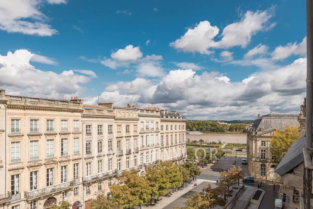 Apartment in Hôtel de Ville-Quinconce-Saint Seurin-Fondaudège, Bordeaux, France 3 - 16335351