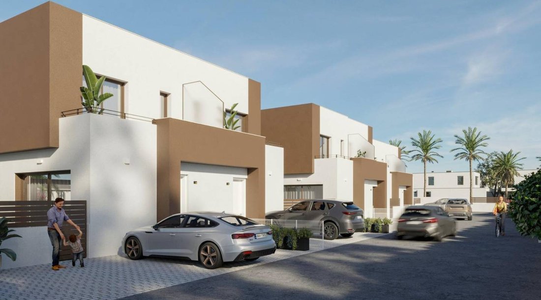 Villa in Elx / Elche, Valencian Community, Spain 4 - 16336822