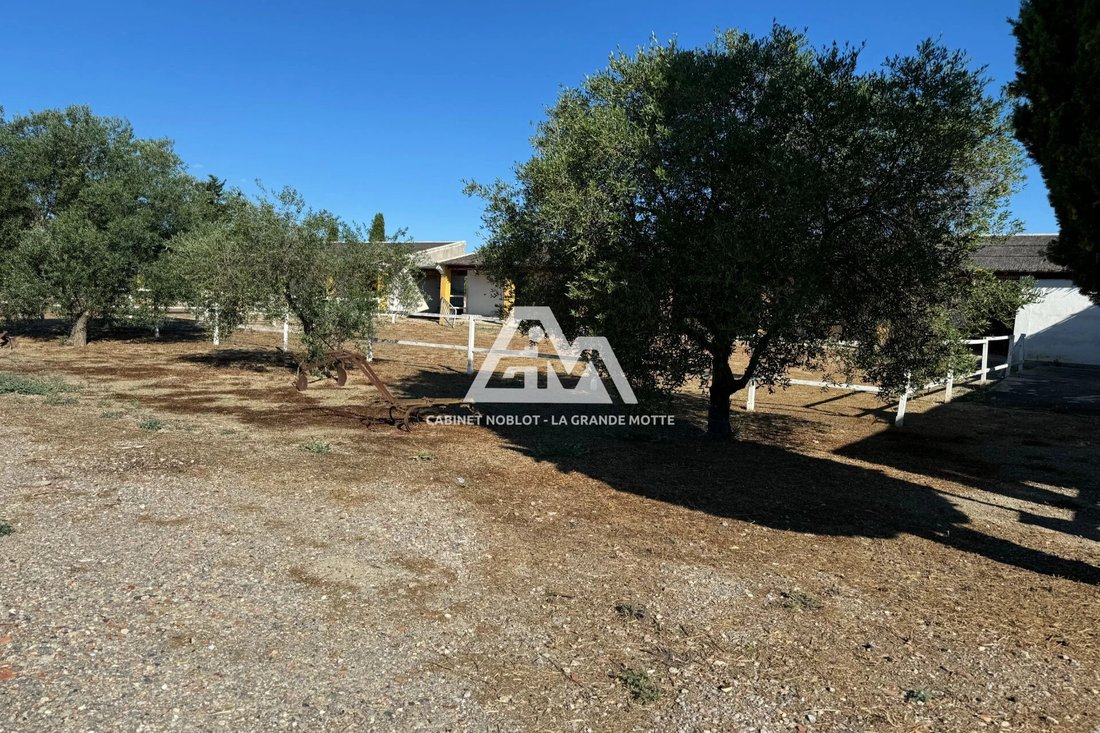 Land in Saint-Laurent-d'Aigouze, Occitania, France 2 - 16336956