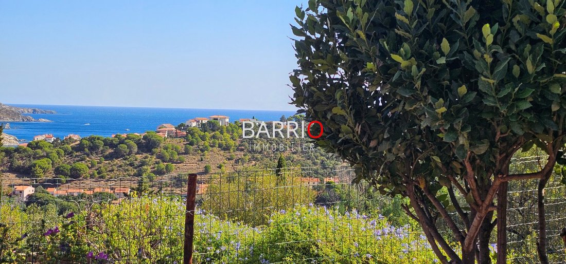 House in Ouest, Banyuls-sur-Mer, France 3 - 16052366
