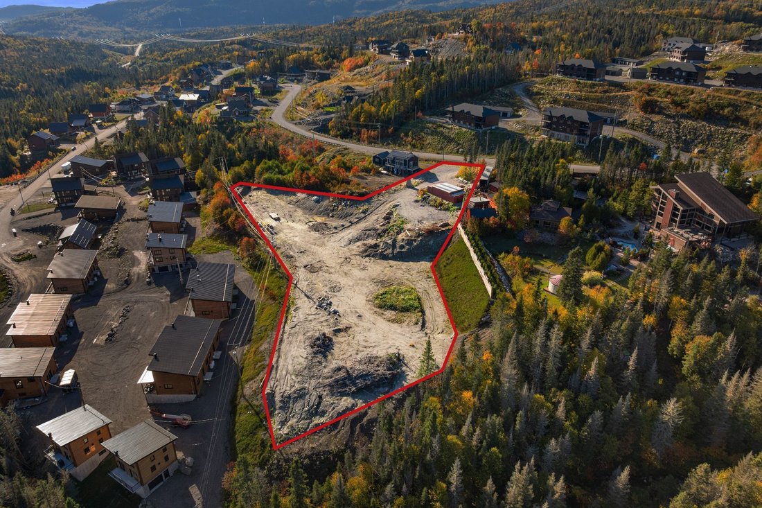Land in Saint-David-de-Falardeau, Quebec, Canada 1 - 15956723