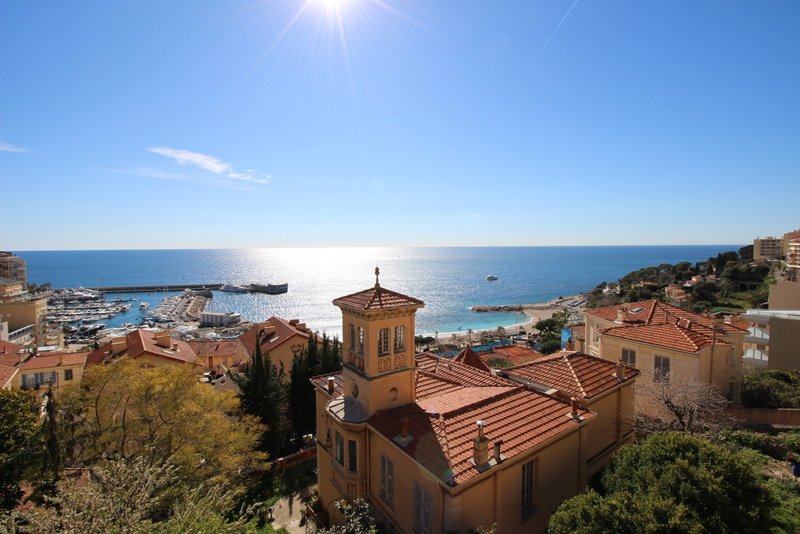 Apartment in Cap-d'Ail, Provence-Alpes-Côte d'Azur, France 1 - 16333694